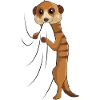 Erdmännchen