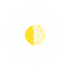 Bicycle Flower
