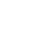 Longimanus Whitetip Shark