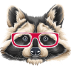 Raccoon Raccoons animal marsupial