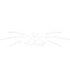 Cat dad