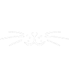 Cat mom
