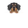 Smiling rough-haired dachshund