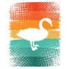 Swan