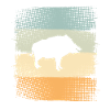 Wild boar