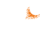 Base-ball