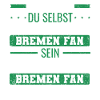 Bremen Fan Fußball Norddeutsch