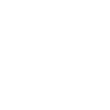 Libellule Insecte Libellules Libellules Libellules