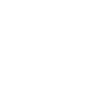 Branche des fleurs de cerisier