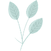 Leaf Leaves Branch Branch