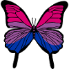 Bisexual Butterfly Bisexual Pride