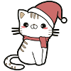 Chat Noël
