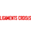 Liberté Egalité Ligaments Croisés