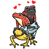 Baumsteigerfrosch Pfeilgiftfrosch Farbfrosch