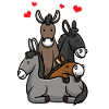Hausel Donkey