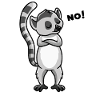 Katta Lemur Primacy