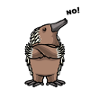Echidna Echidna Beaked Hedgehog