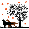 2 Flat Coated Retriever Autumn