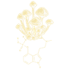 Mushroom Enthogen Psilocybin
