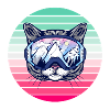 Ski Party Katze