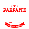 PILOTE PARFAITE