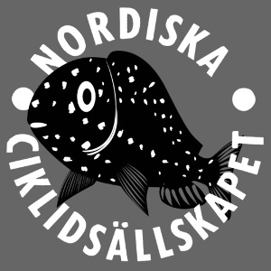 Original Cartoon Logo