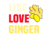 Ginger Shirt