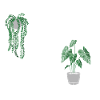 Plants and Cats