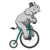 Éléphant au cirque avec vélo
