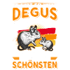 Degu Nagetier Degu Geschenk