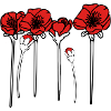 Poppies
