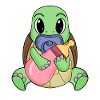 Bébé Tortue