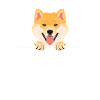 Shiba Inu souriant