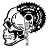 Biker Bicycle Skull Saying