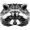 Racoon Geometric Racoon