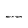 Auto Detailing Detailing