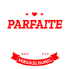 INGÉNIEURE PARFAITE