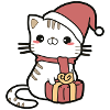 Cat Christmas