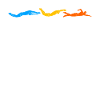 Swimmers Swimming Sport