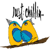 Vögel Brüder auf Chill