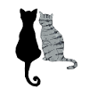 Black and grey cats