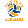 Volleyball Beach Volleyball