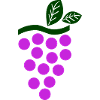 grape