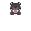 Staffordshire Bull Terrier souriant