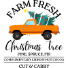 Bauernhof frischer Weihnachtsbaum