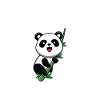 Panda Pandas Gift