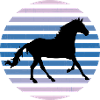 Cheval