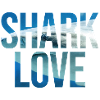 Shark Love