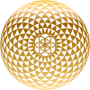 Torus Yantra