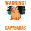 Capybara Gift Capybara Capibara